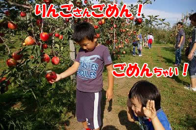 今が旬!りんごもぎ取り体験!_d0131668_16484854.jpg
