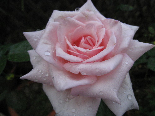 c0132387_0125124.jpg