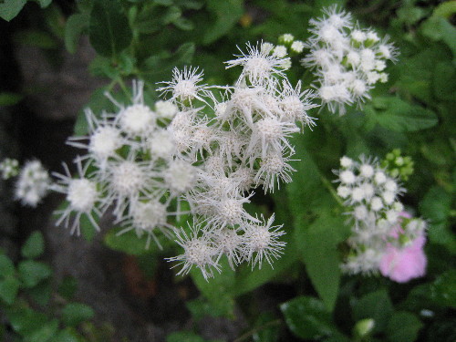 c0132387_0131348.jpg