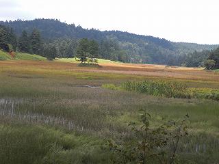 f0117892_23282239.jpg