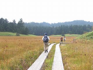 f0117892_2329272.jpg