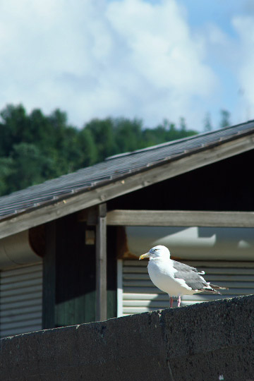 f0003598_13245723.jpg