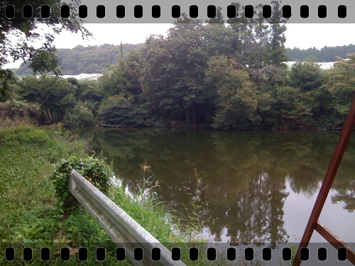 2008/09/21 栃木県 芳賀郡 芳賀町 野池_c0171001_1410034.jpg