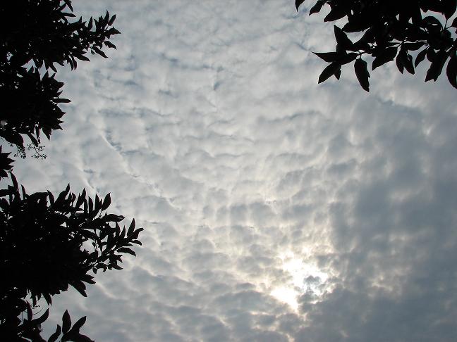 f0155808_5383346.jpg