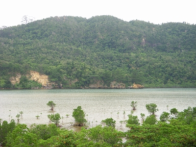 沖縄アルバム(8)西表島の川と滝_d0116009_1413937.jpg