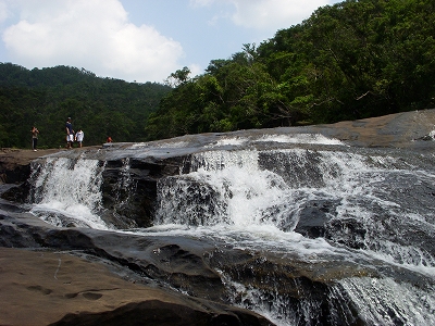 沖縄アルバム(8)西表島の川と滝_d0116009_2185214.jpg