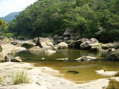 沖縄アルバム(8)西表島の川と滝_d0116009_2232083.jpg