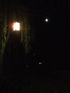 f0134909_16432434.jpg