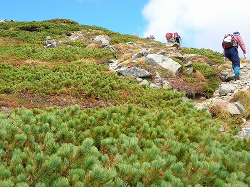 幌尻岳清掃登山　その７_c0048117_20291112.jpg