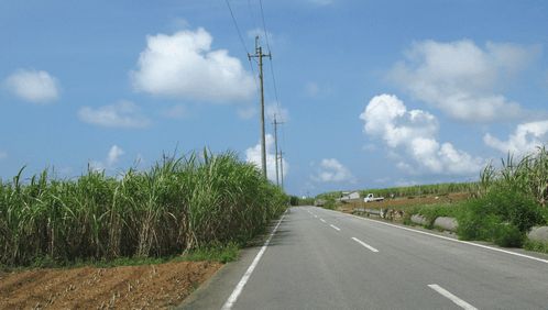 c0166720_2014585.jpg