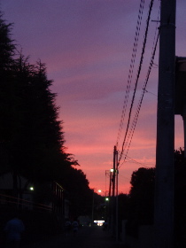 c0025422_18425.jpg