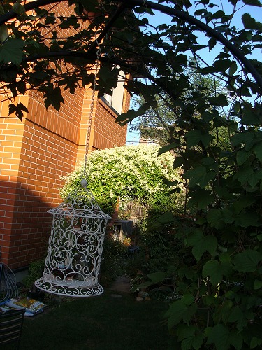f0170524_15375682.jpg