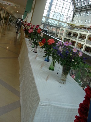 f0170524_15404688.jpg