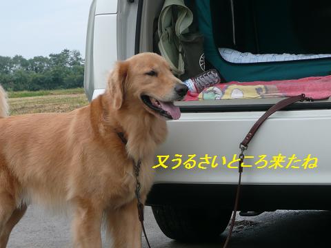 f0114128_22113219.jpg