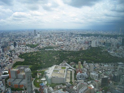 7月 ザ・リッツ・カールトン東京 チェックイン・部屋その1 _a0055835_15282392.jpg