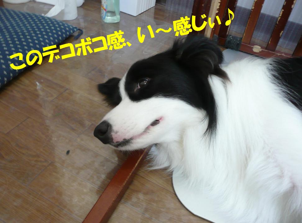 c0147241_22162257.jpg