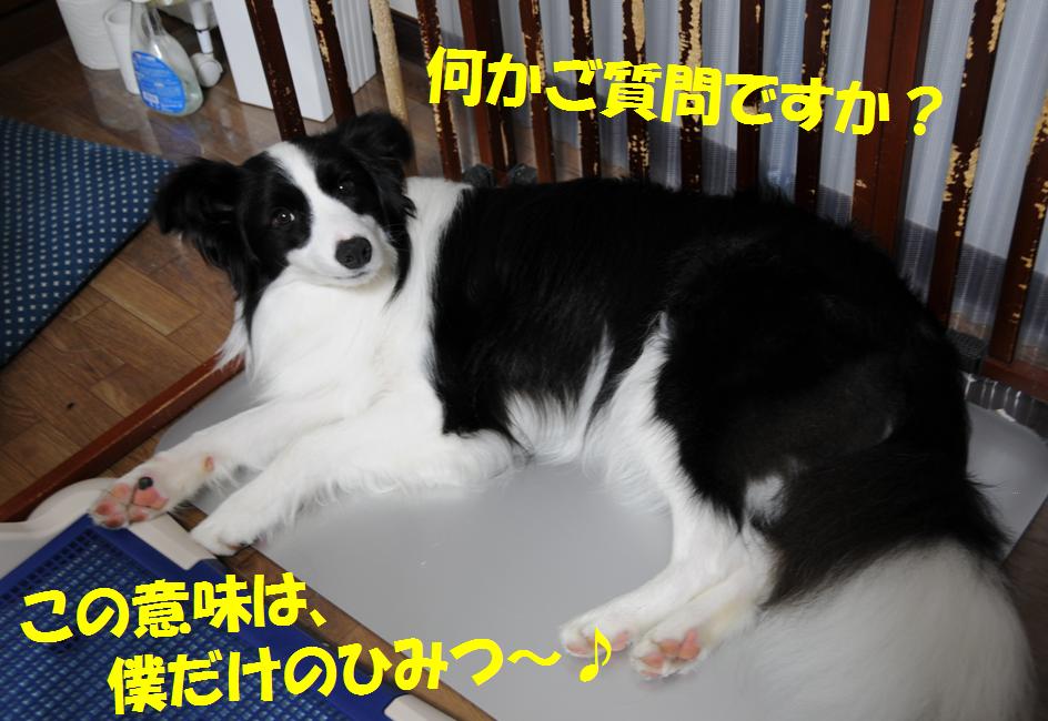 c0147241_22211865.jpg