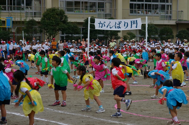 やおろずの神頼み_c0005243_1844727.jpg