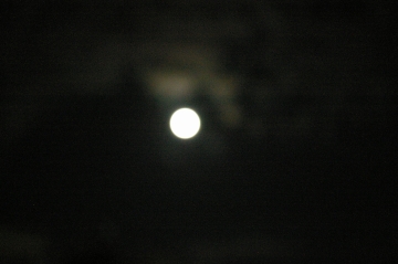 d0038644_20102854.jpg
