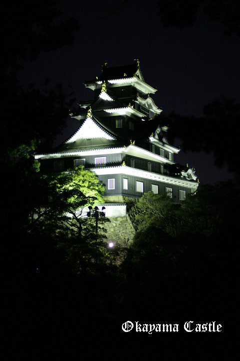 夜の岡山城_b0131362_2251763.jpg