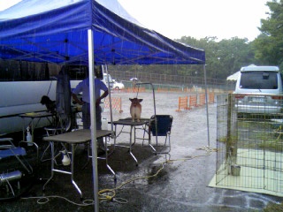 ニーナ久々のJKC_f0126965_16535715.jpg