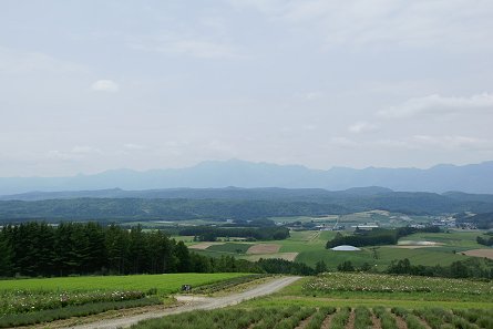 a0039366_1561036.jpg