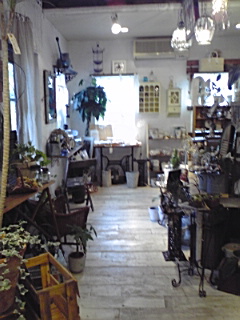 お洒落なお花屋さん兼雑貨屋さん_e0136066_2244285.jpg