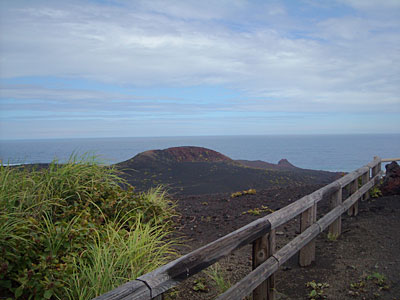 三宅島・アカコッコ館へ_e0097770_2174897.jpg