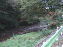 e0141290_8285150.jpg