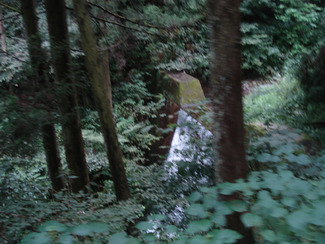 e0141290_834178.jpg