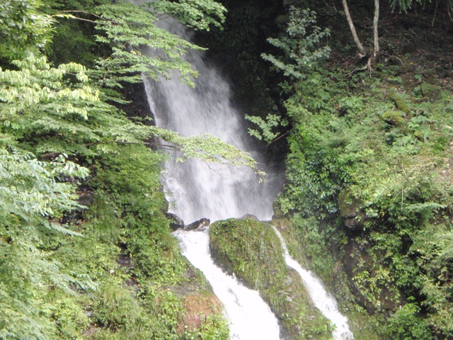 c0147398_20102327.jpg