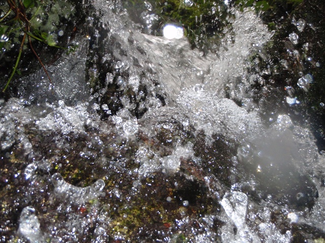 c0147398_20103531.jpg