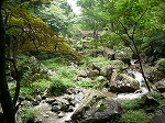 c0151903_1948410.jpg