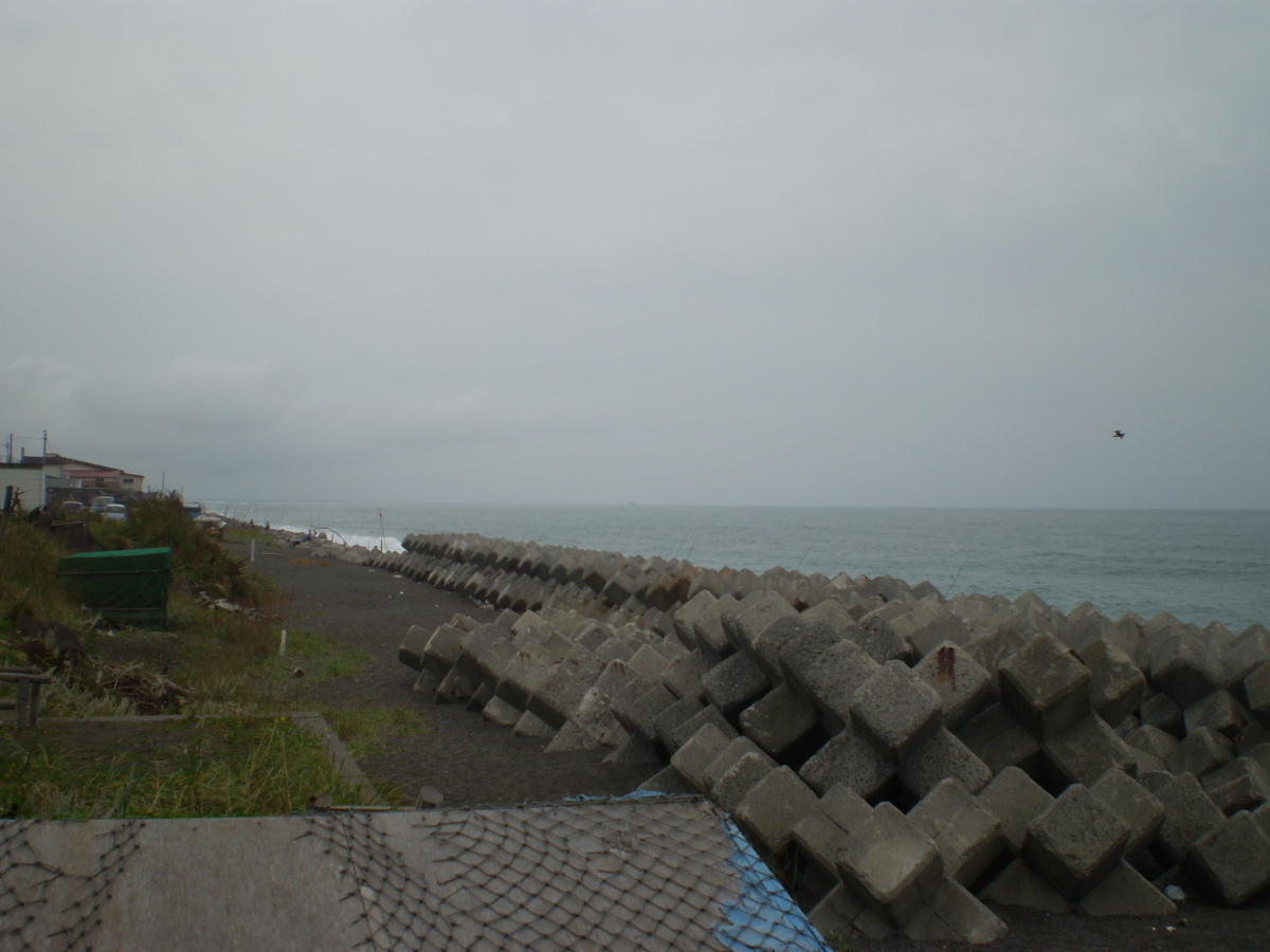 a0100206_0181.jpg