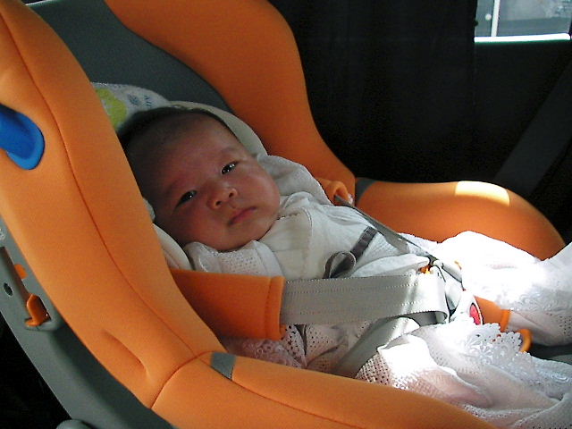 f0038407_71394.jpg