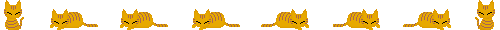 e0033713_1258116.gif