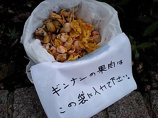 d0143214_23412327.jpg