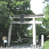 d0033734_15224930.gif