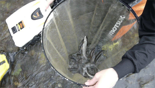 a0056140_14453284.gif