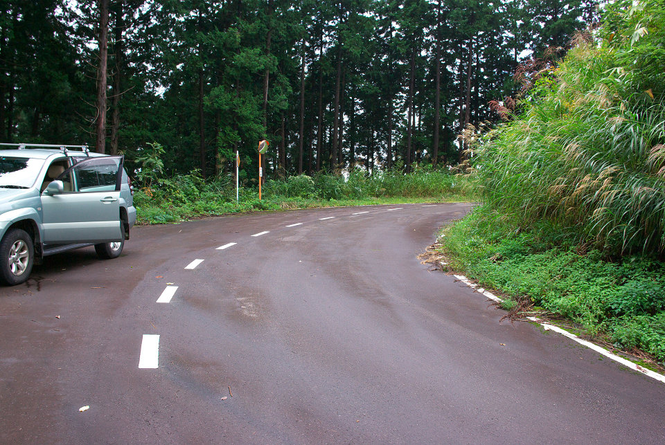 大平山　おおだいらやま_d0098645_1863094.jpg