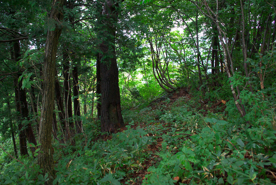 大平山　おおだいらやま_d0098645_1871476.jpg