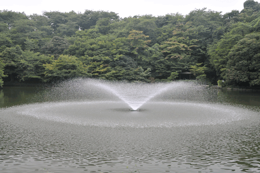 古城公園にて_c0093046_7414865.gif