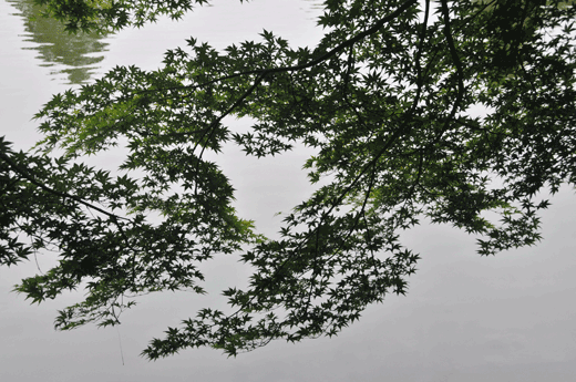 古城公園にて_c0093046_742879.gif