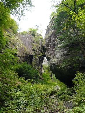 f0087847_1754819.jpg