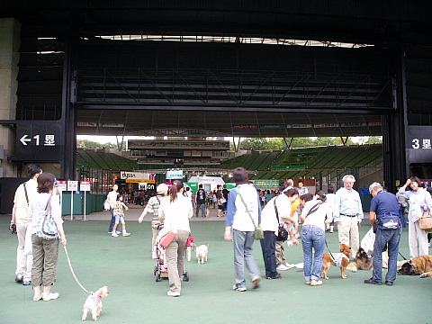 c0123149_014845.jpg