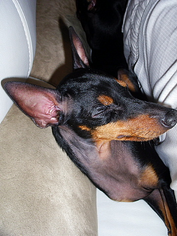 c0123149_0532693.jpg