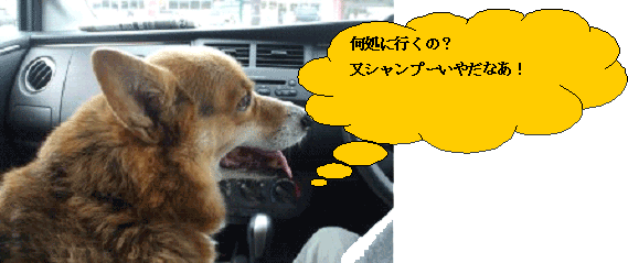 c0009855_22232833.gif