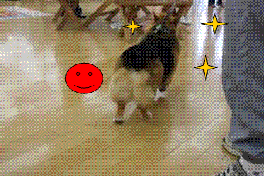 c0009855_2224942.gif