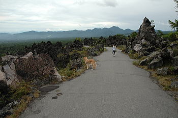 f0118263_22143598.jpg