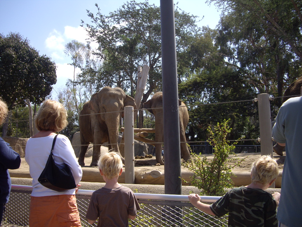 San Diego Zoo_b0013870_1449436.jpg